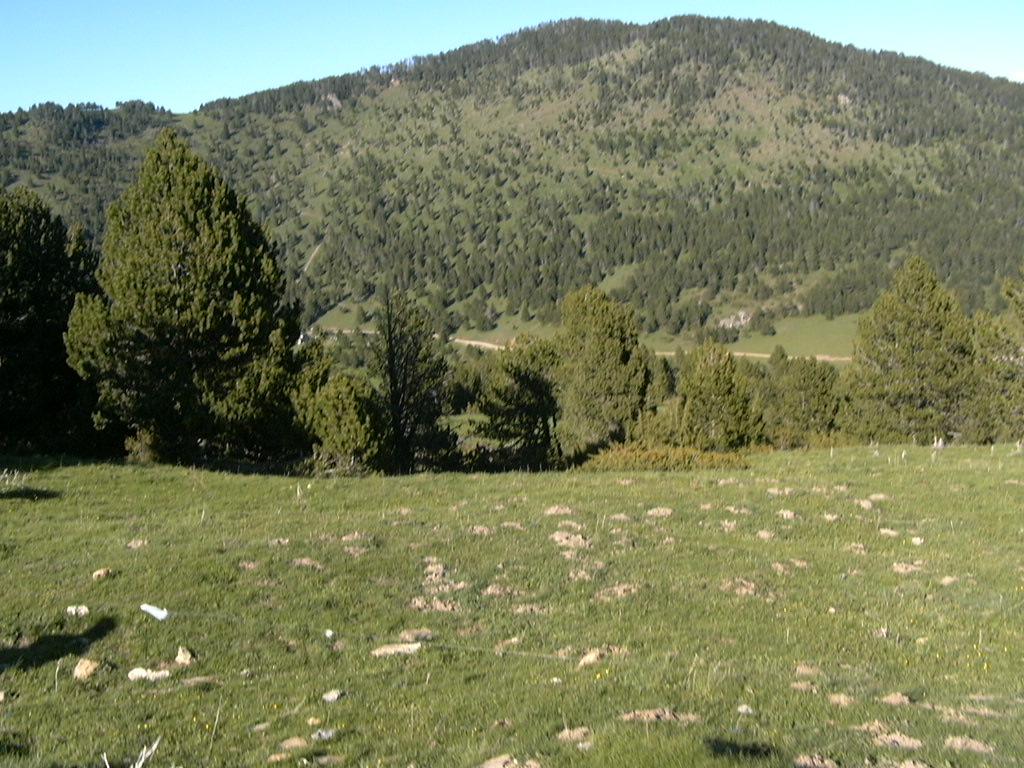 p10205547pl-1.jpg
