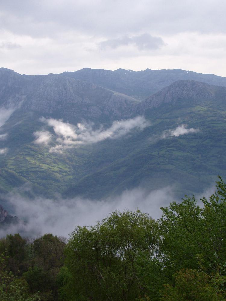 pais1ro-1.jpg