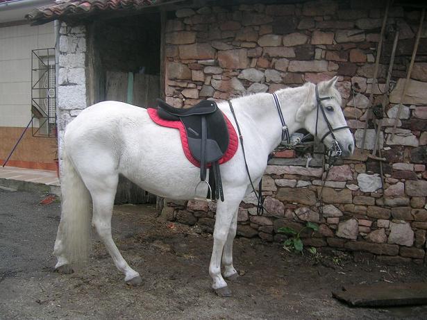 perlayankhara201120050220uu-1.jpg