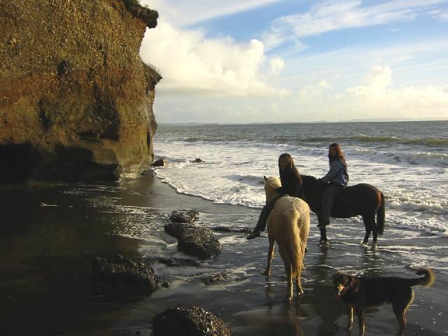 playa20caballos7ft-1.jpg