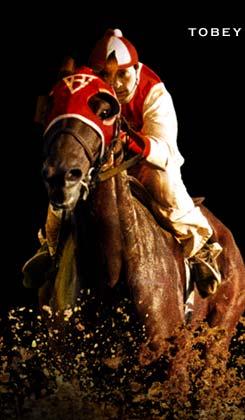 seabiscuit7ew-1.jpg