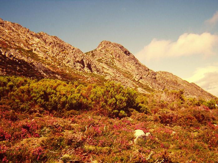 sierra4cb-1.jpg
