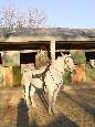 dsc036738ys-1.jpg