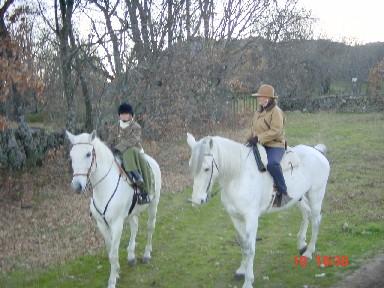 dsc036773vd-1.jpg