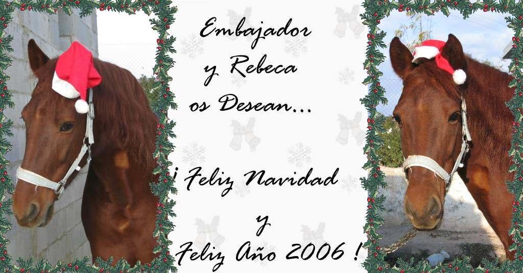 navidadembajador1cc-1.jpg