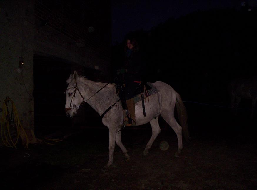 noi0526id-1.jpg