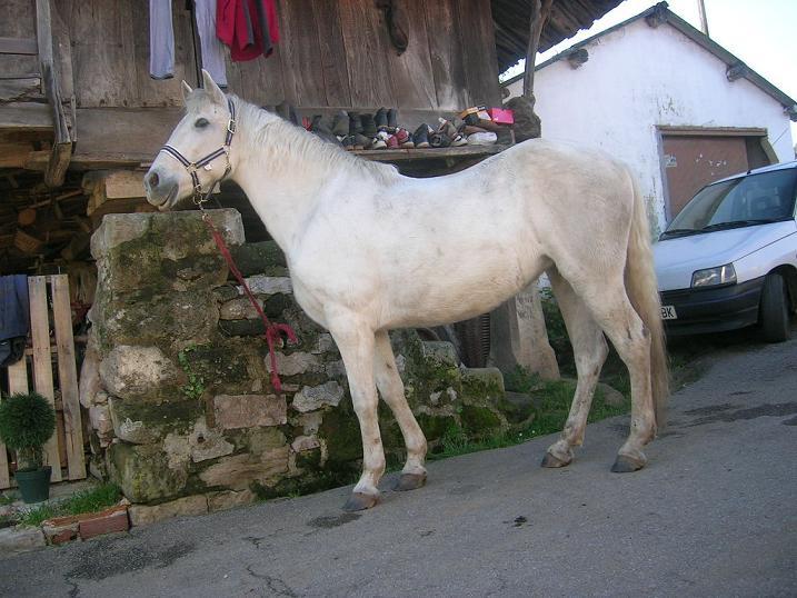 perlayankhara031220050011kp-1.jpg