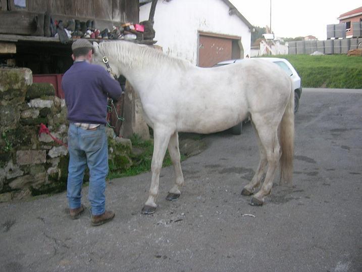 perlayankhara101220050187vf-1.jpg