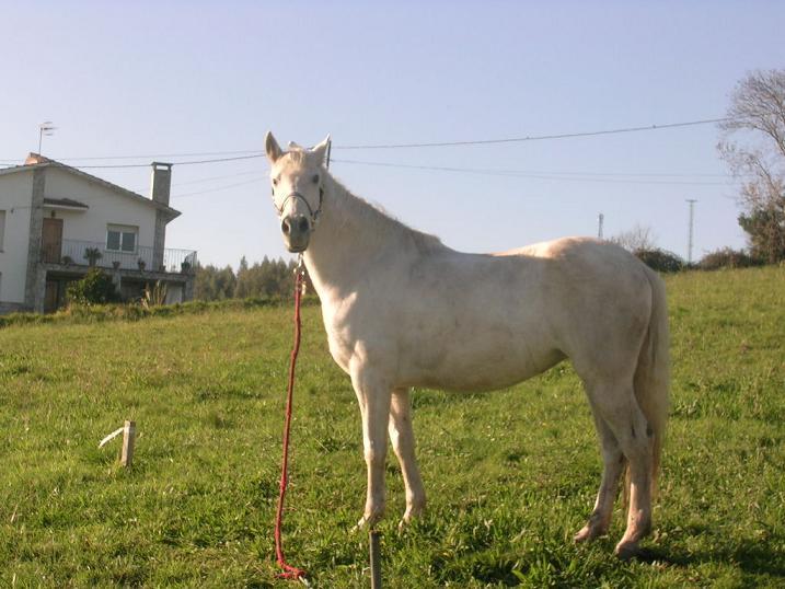 perlayankhara101220050294py-1.jpg