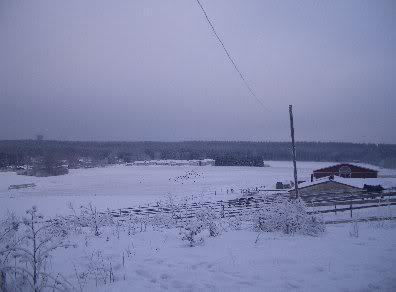 0006-1.jpg