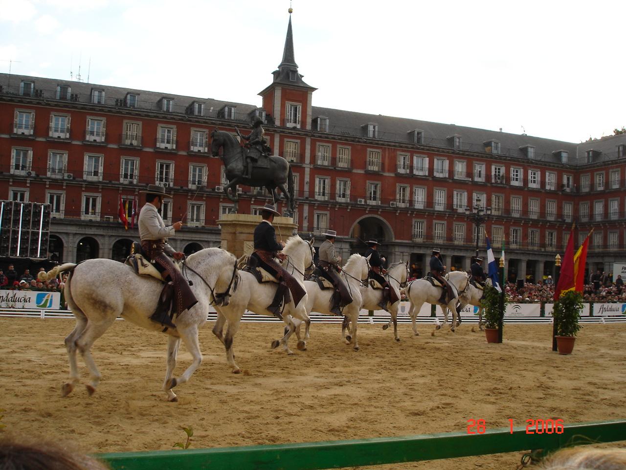 dsc020160ii-1.jpg