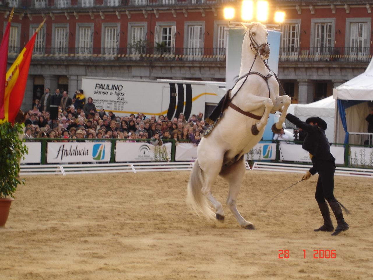 dsc020367wj-1.jpg