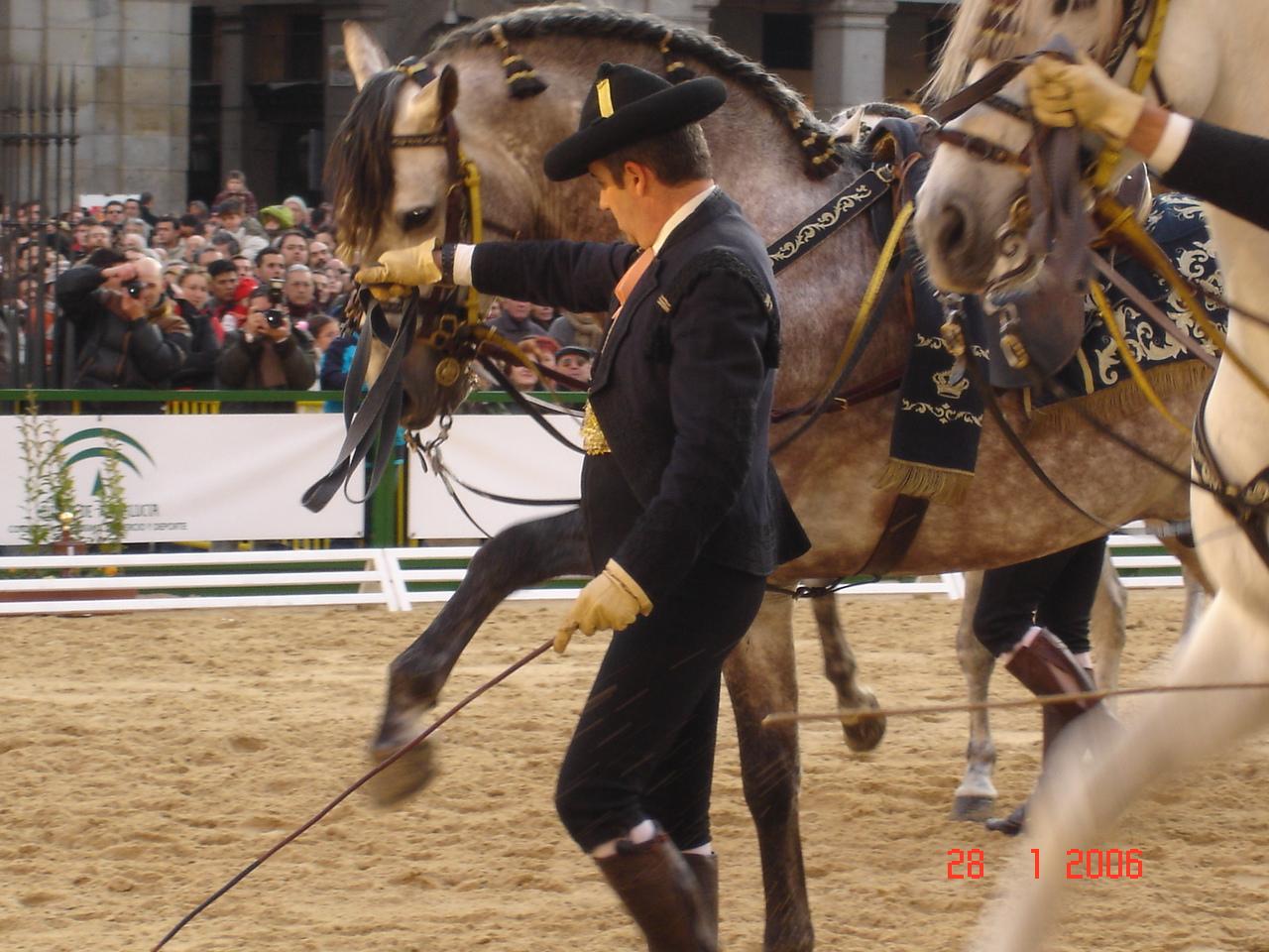 dsc020475av-1.jpg