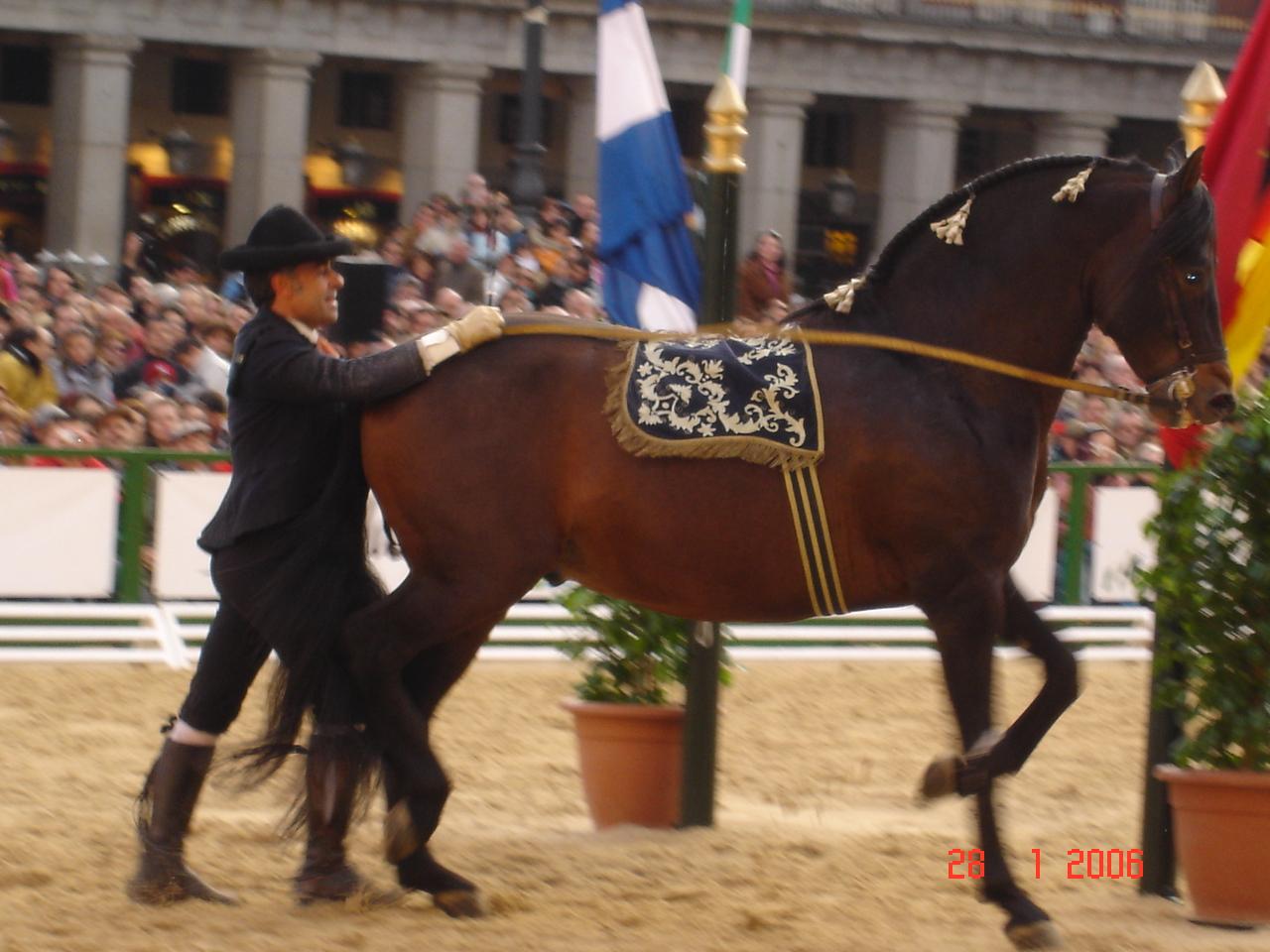 dsc020509xl-1.jpg