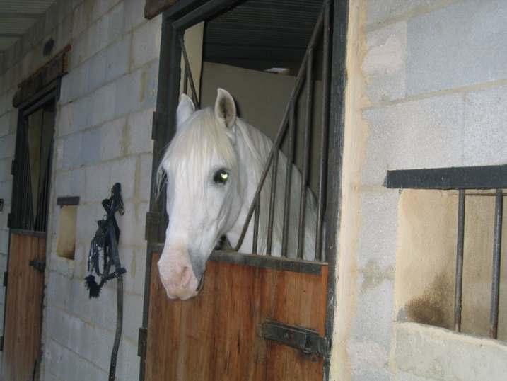 monty1jf-1.jpg
