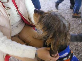 p10100278bs-1.jpg