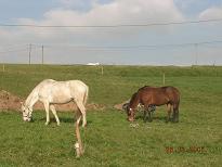 perlayankhara261220050023tf-1.jpg
