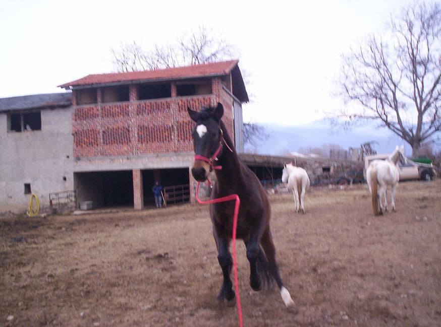 q0084il-1.jpg