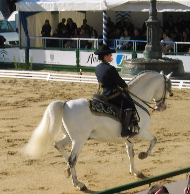 realescuelaandaluza0261cq-1.jpg