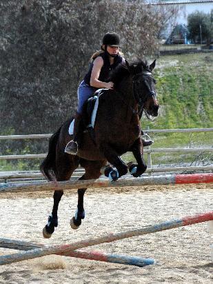 20marzo05235tj-1.jpg