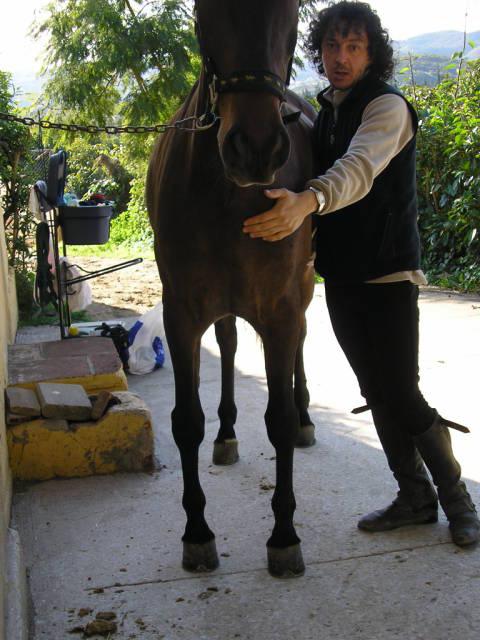 5febrero0088ad-1.jpg