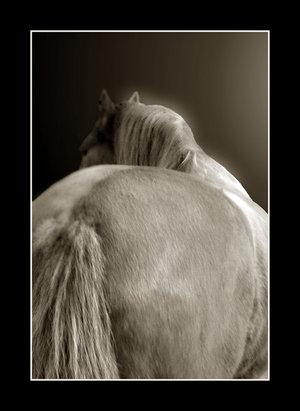 De_la_douleur_d__etre_inutile_by_NieblaY-1.jpg