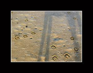 Sand_riding_by_NieblaYLuz-1.jpg