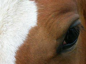 Soft_look_by_NieblaYLuz-1.jpg