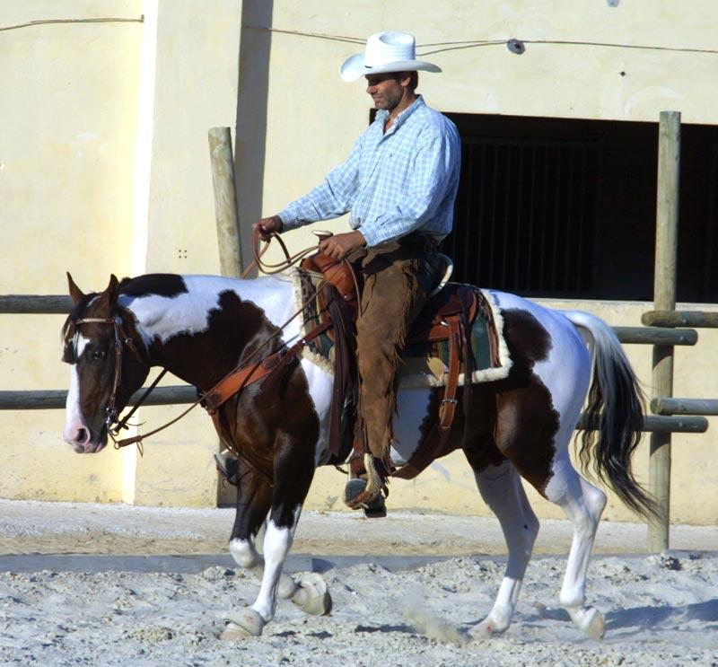 caballo5g-1.jpg
