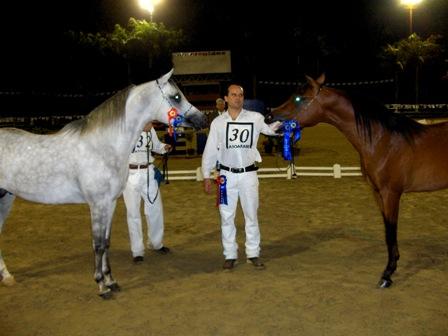 fiestadelcaballo012zc-1.jpg
