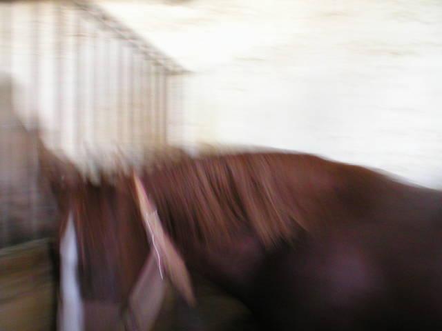 p10100040wj-1.jpg