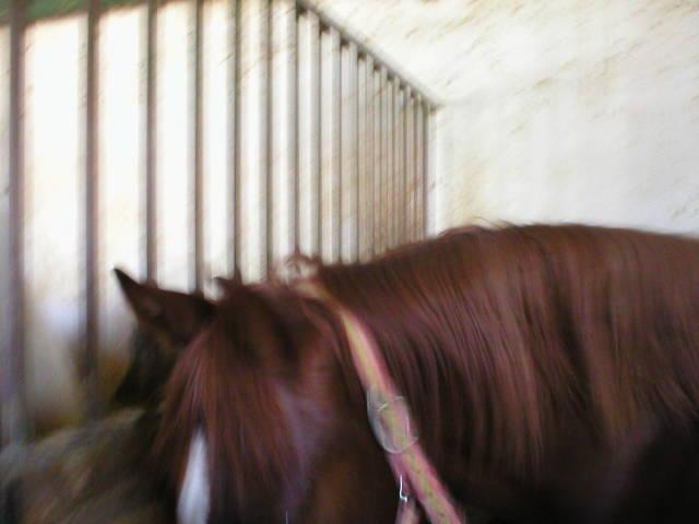 p10100058hh-1.jpg