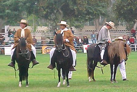 pasoperuano102qo-1.jpg