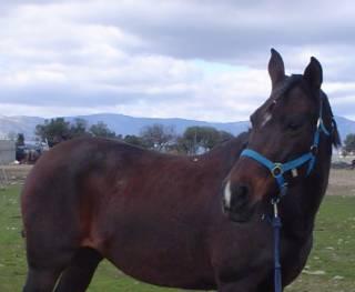 princes267eq-1.jpg