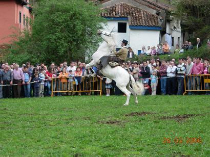 albinalevantada5kk-1.jpg