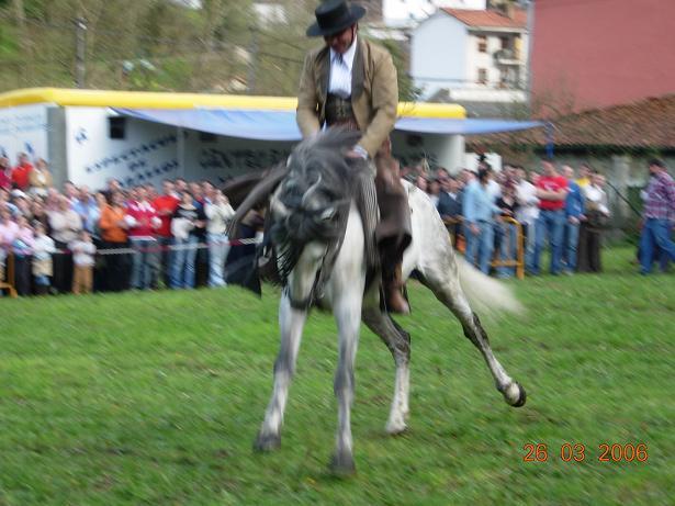aloloco6zv-1.jpg