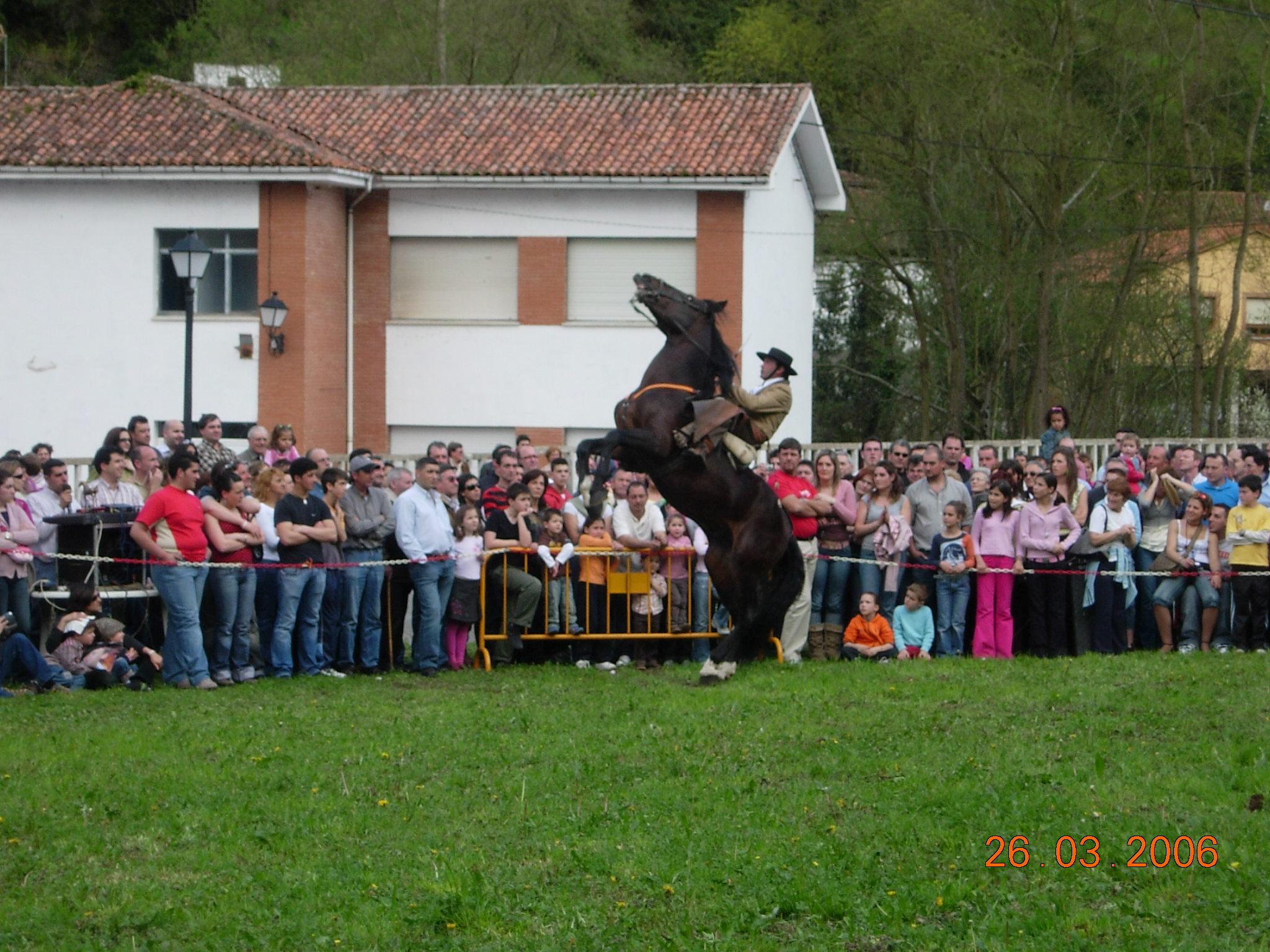 dscn17031pw-1.jpg