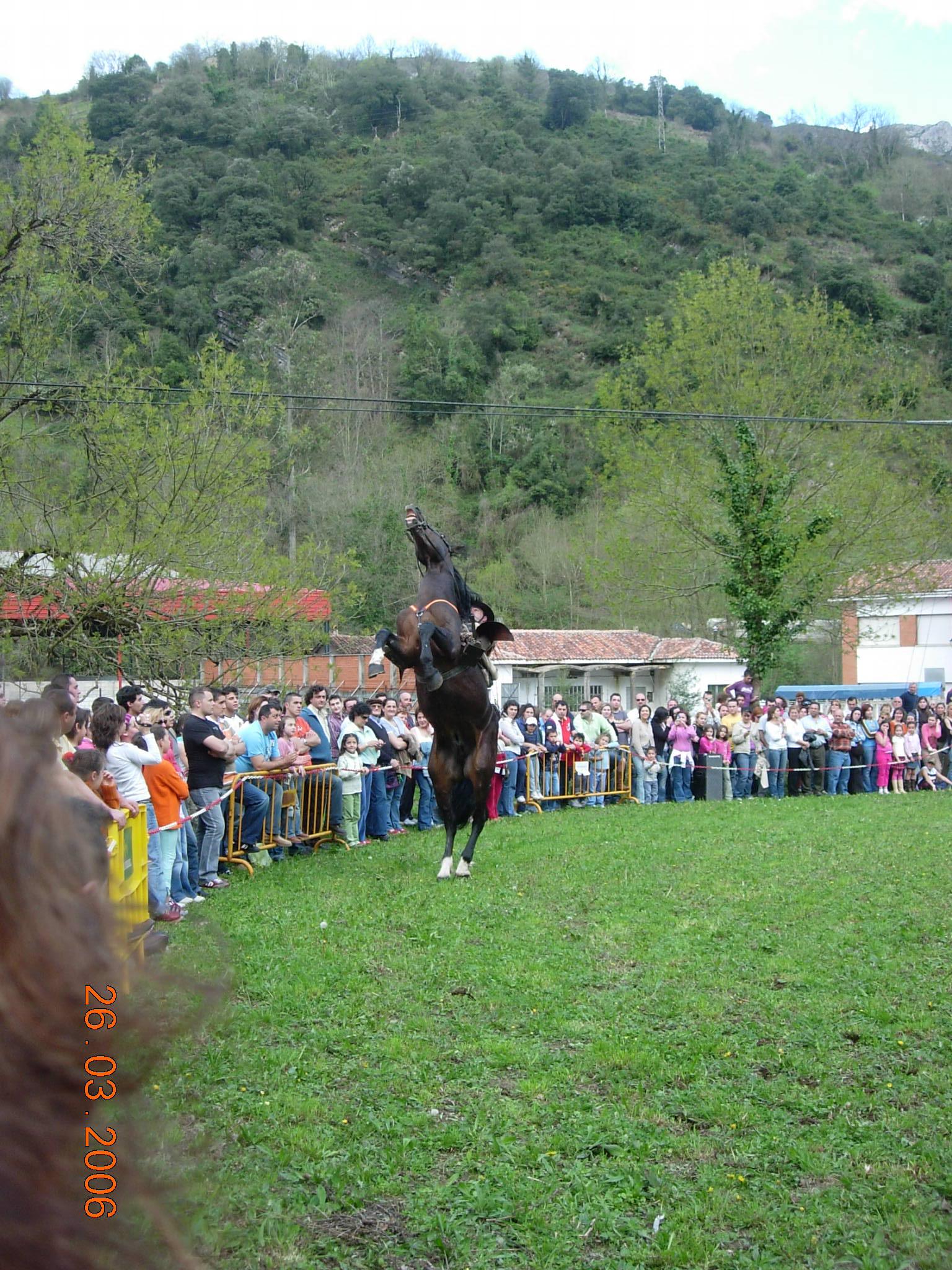 dscn17044dg-1.jpg