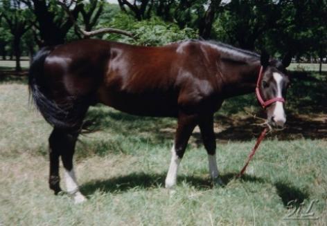 guamini5zd-1.jpg