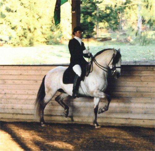 lusitano11na-1.jpg