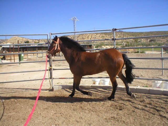 p10100040eq-1.jpg