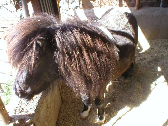 p10100301qq-1.jpg