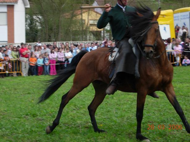pose1gx-1.jpg