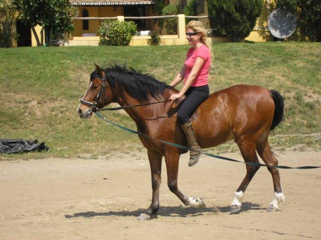 12abril0612nx-1.jpg