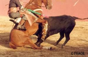 Guardarama20copy1JPG-1.jpg