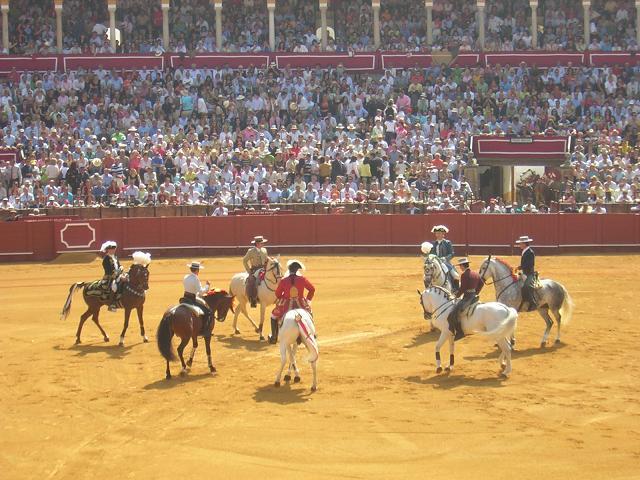 corrida32tm-1.jpg