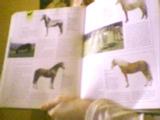 imagenfija99vq-1.jpg