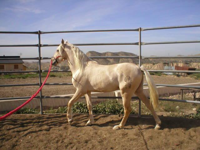 p10100023hv-1.jpg