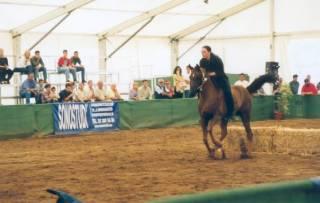 show30br-1.jpg