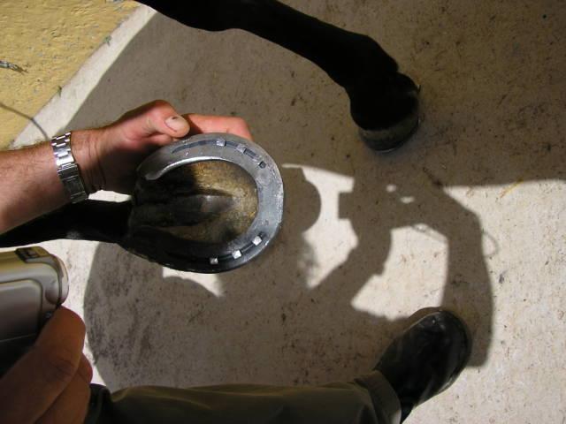 26mayo060117mw-1.jpg